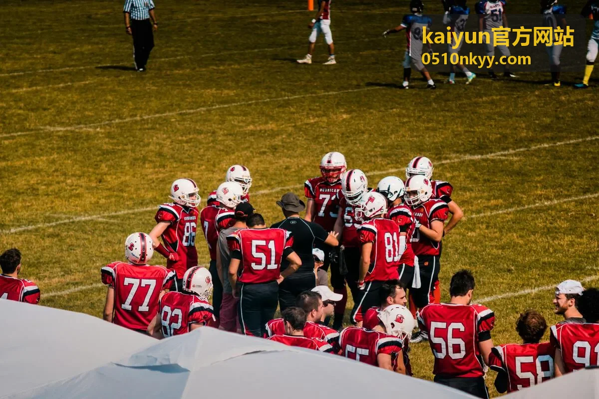 kaiyun官方网站 业务系统建设方案示意